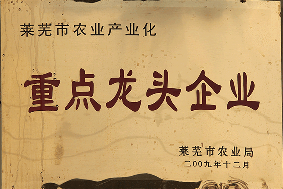 榮譽(yù)資質(zhì)