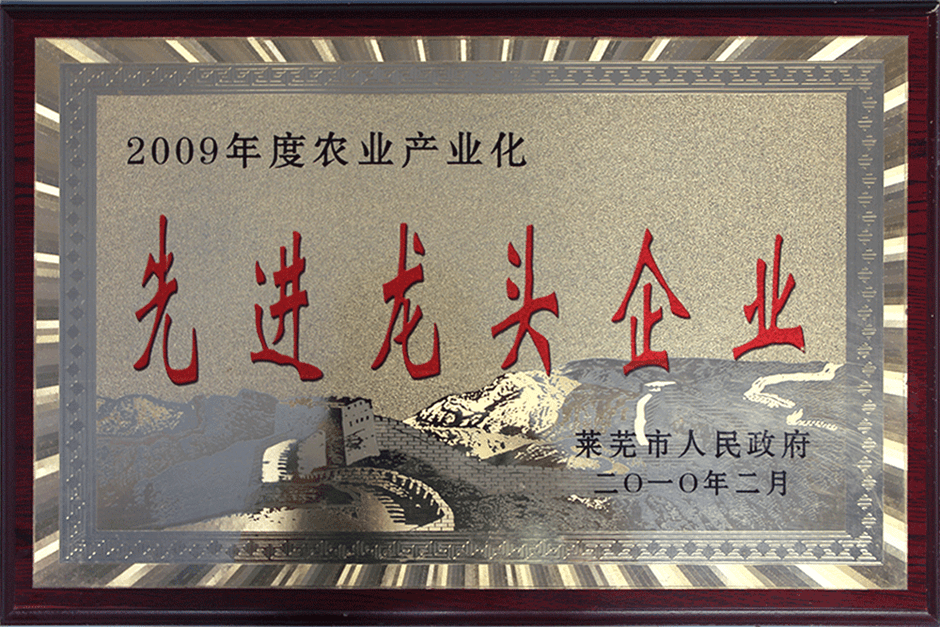 榮譽(yù)資質(zhì)